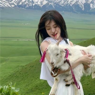 总统的蛋糕